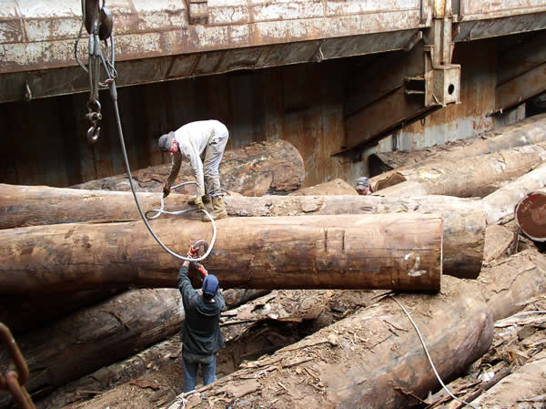 Déchargement de grumes