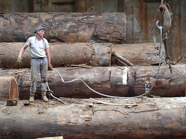 Déchargement de grumes